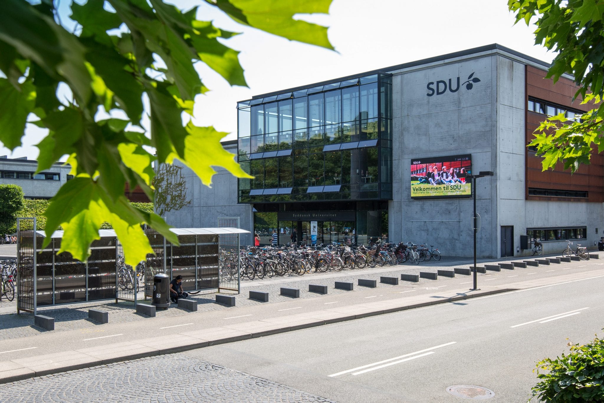 Nyt studie viser langvarigt økonomisk tab efter depression