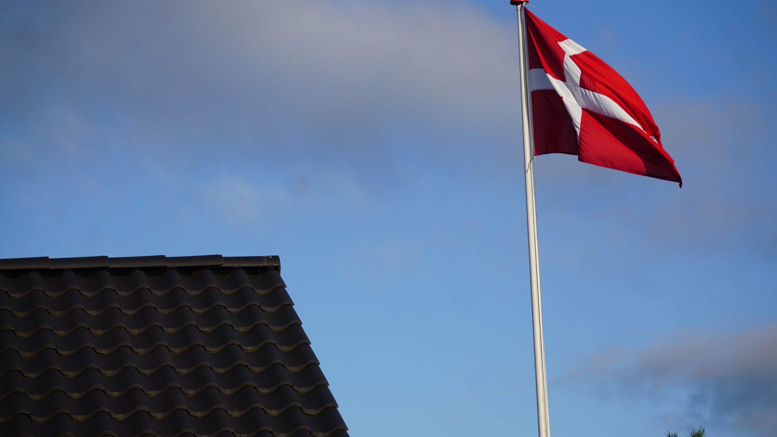 Lastbilchauffør død efter voldsom frontalkollision