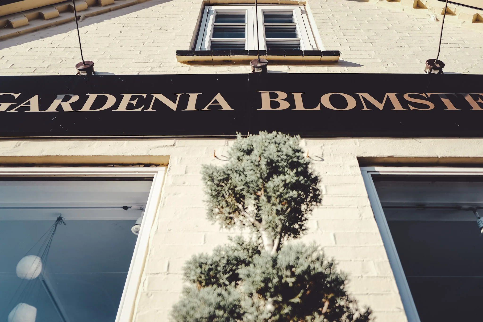 Farverige Valentine-buketter hos Gardenia Blomster