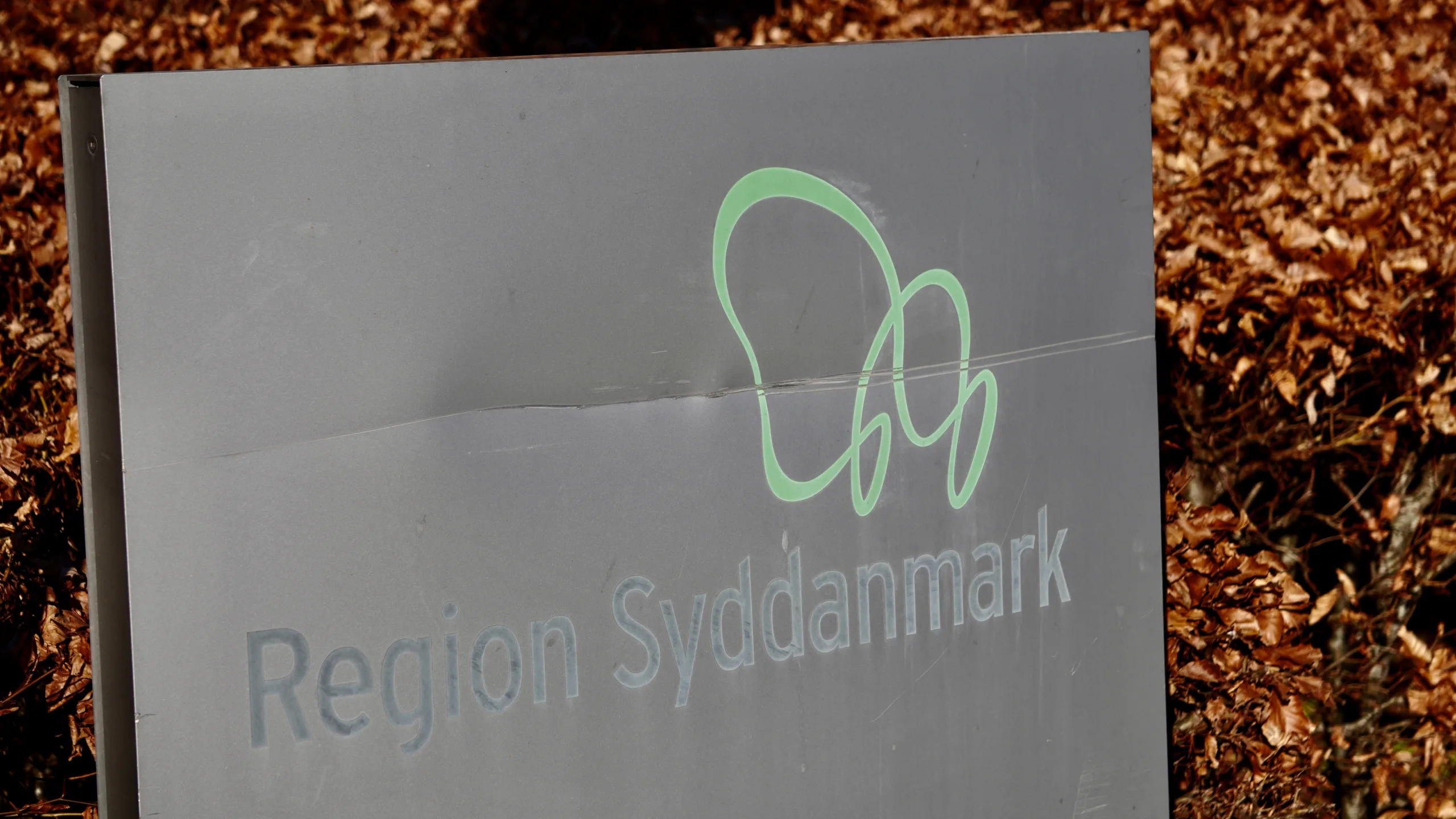 Ny behandling skal sikre bedre hjælp til psykisk syge med misbrug
