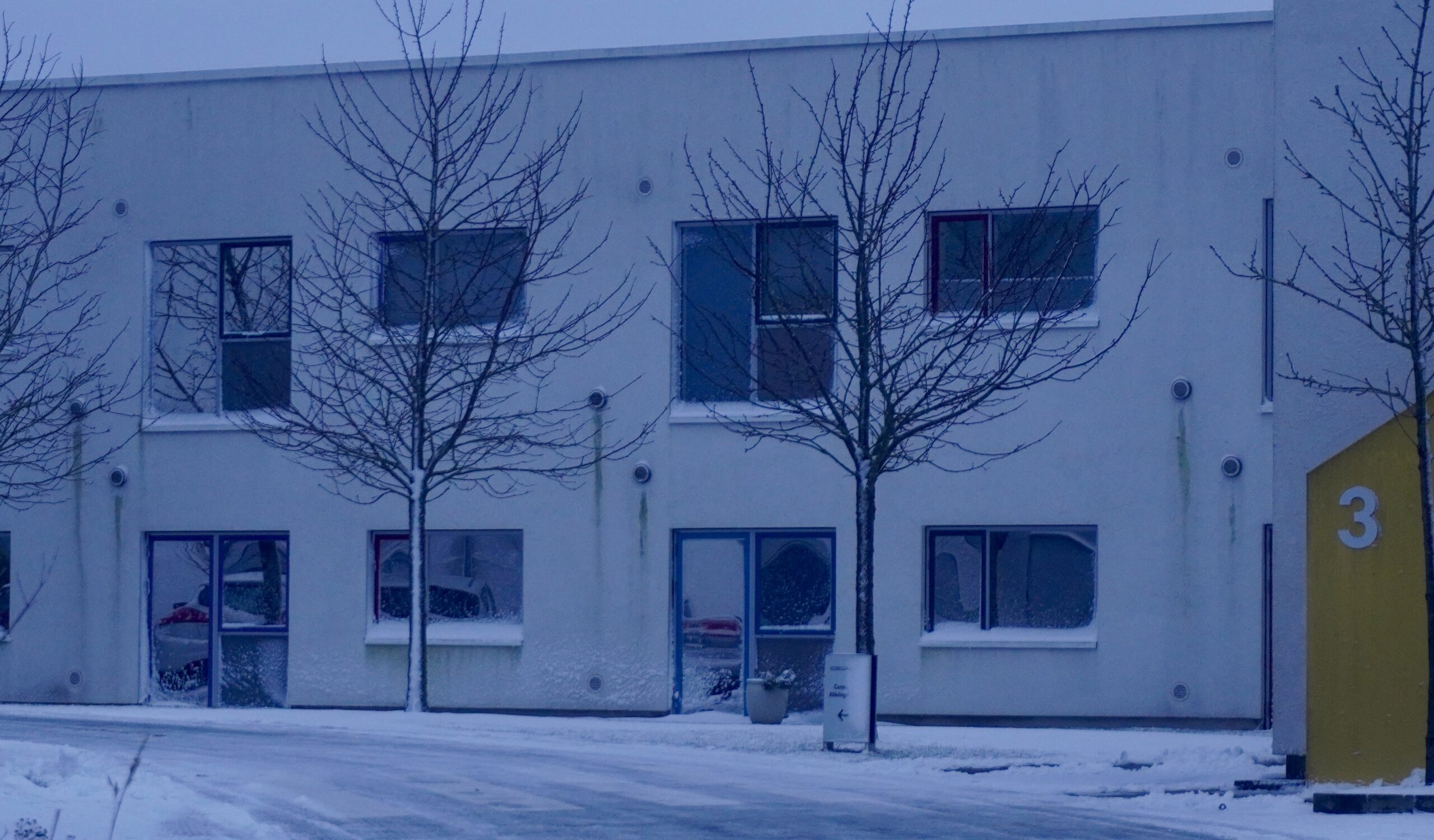 Eksternt konsulentfirma ville nedlægge pårørenderådet