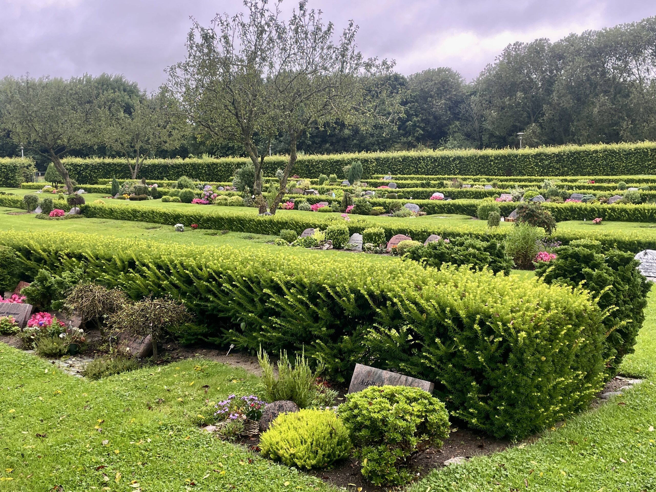 Dødsfald Fredericia uge 8
