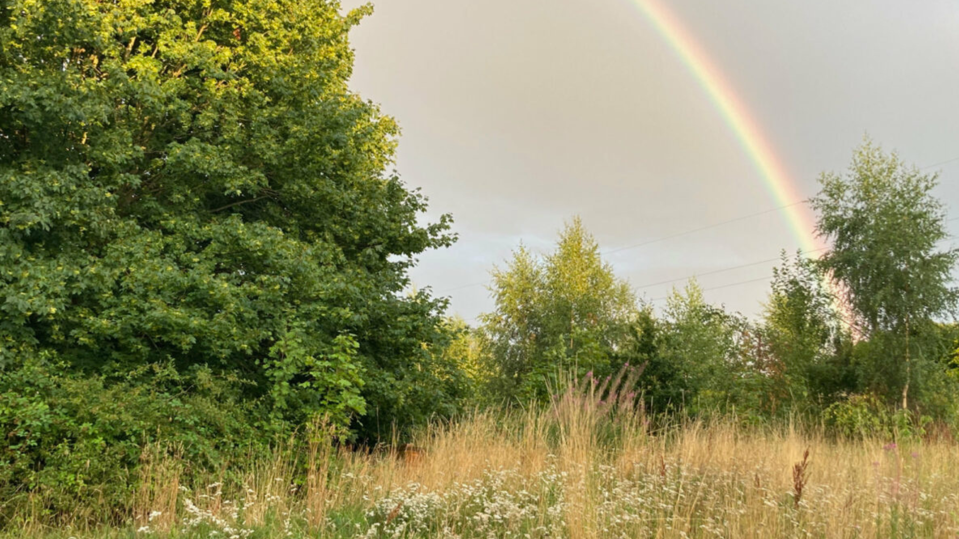 Naturkæmpere vinder retssag mod Middelfart Kommune