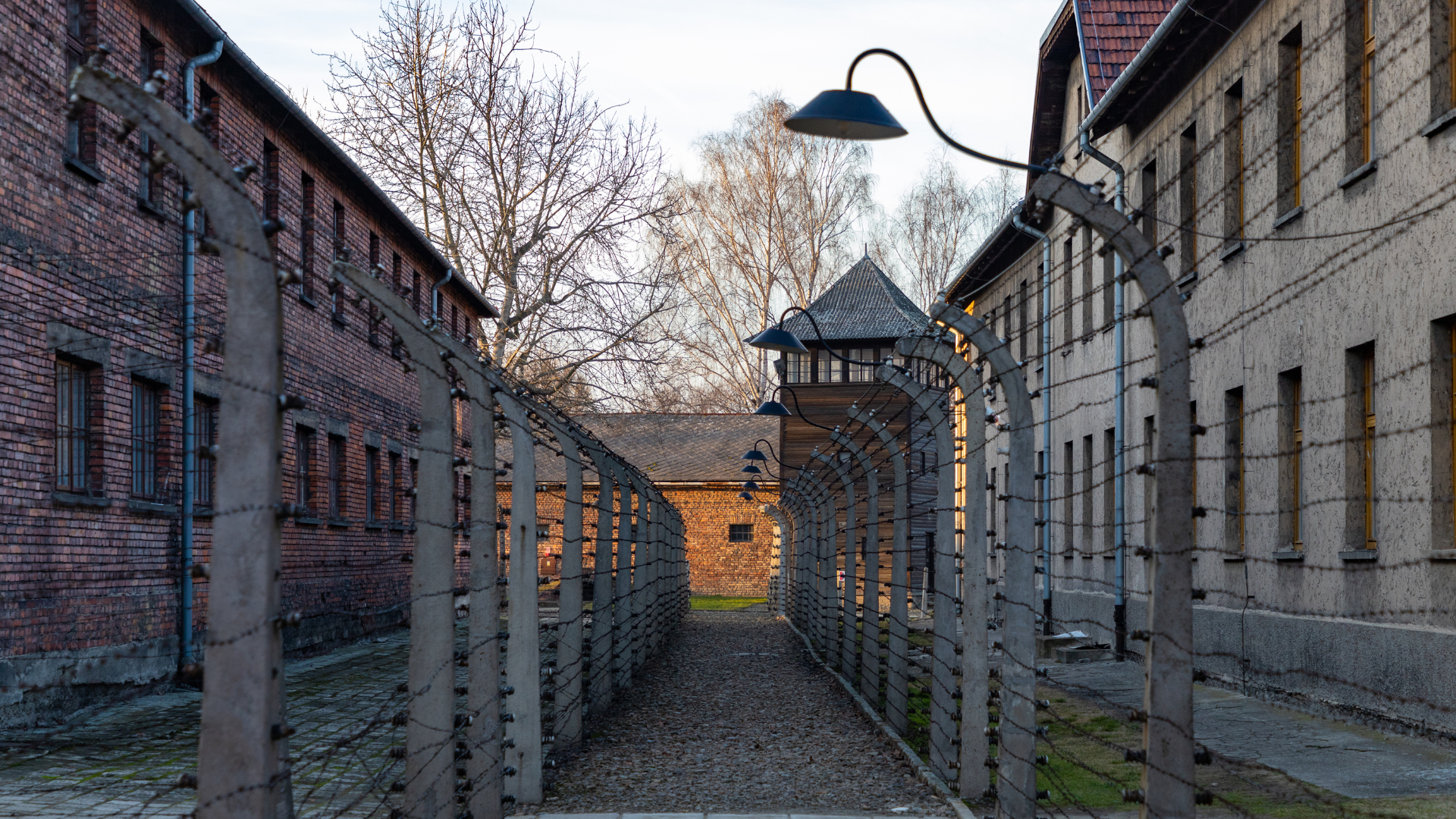 Statsministeren deltager i markeringen af 80-året for befrielsen af Auschwitz