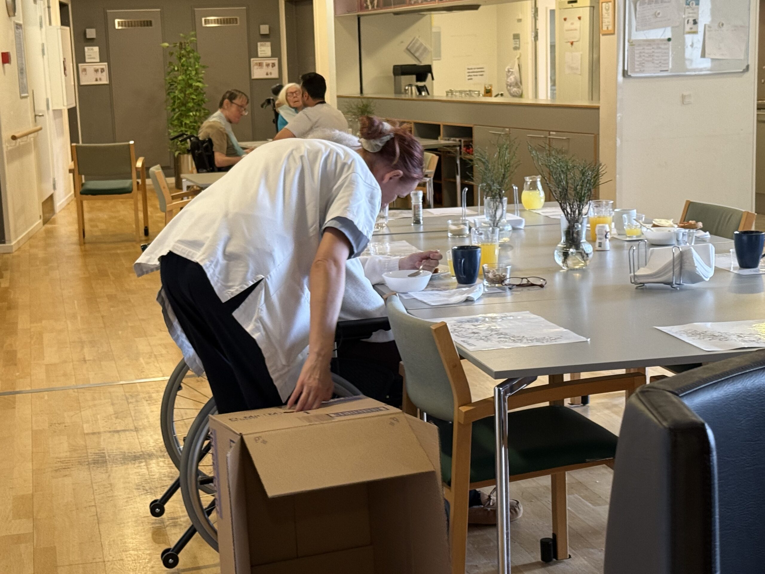 Ny rapport: Frisættelse af kommuner har løftet kvaliteten og arbejdsglæden i ældreplejen