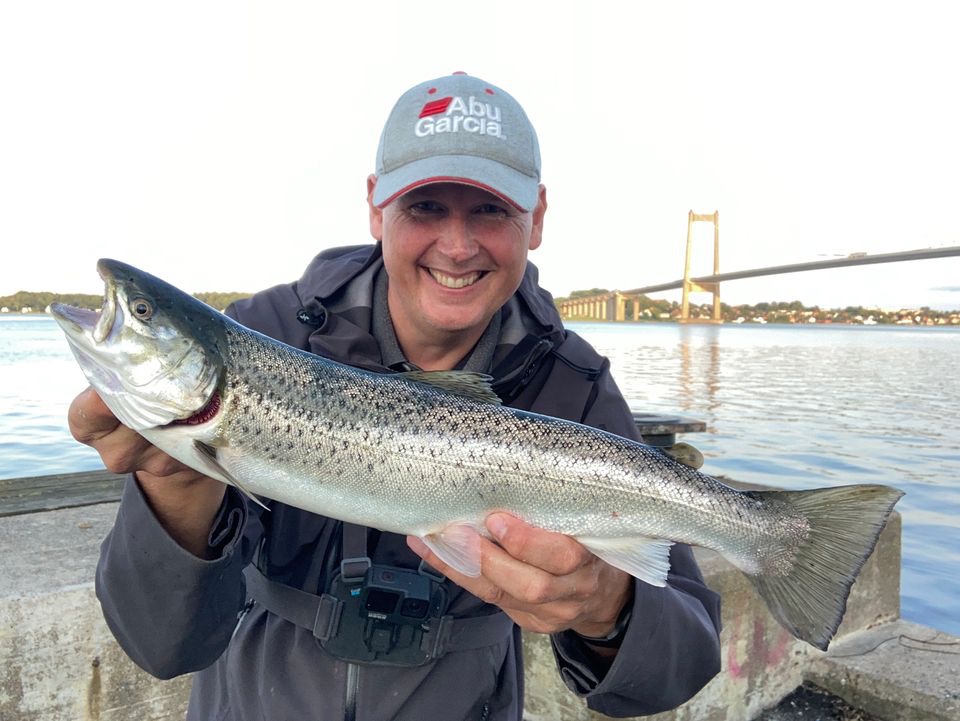 Ny app-funktion viser de bedste fiskepladser for havørred