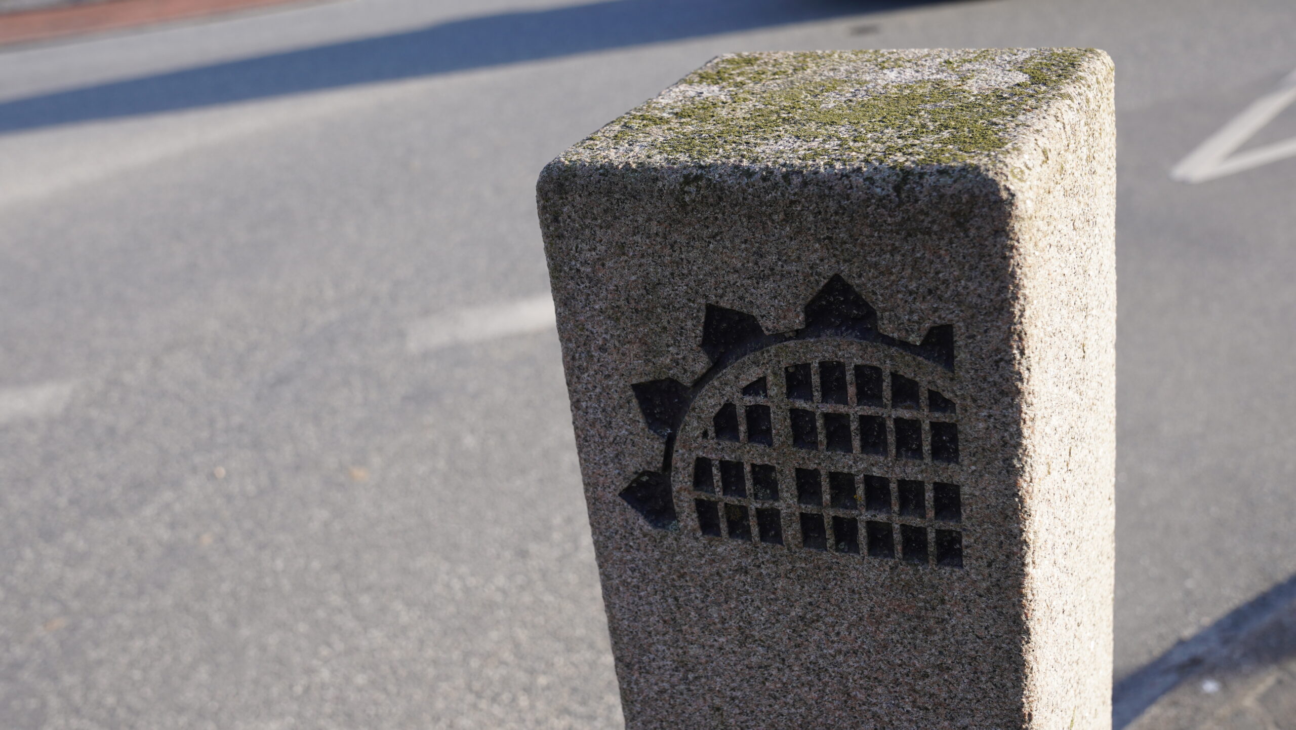 Endelig en proces mod rationel ledelse i Fredericia Kommune