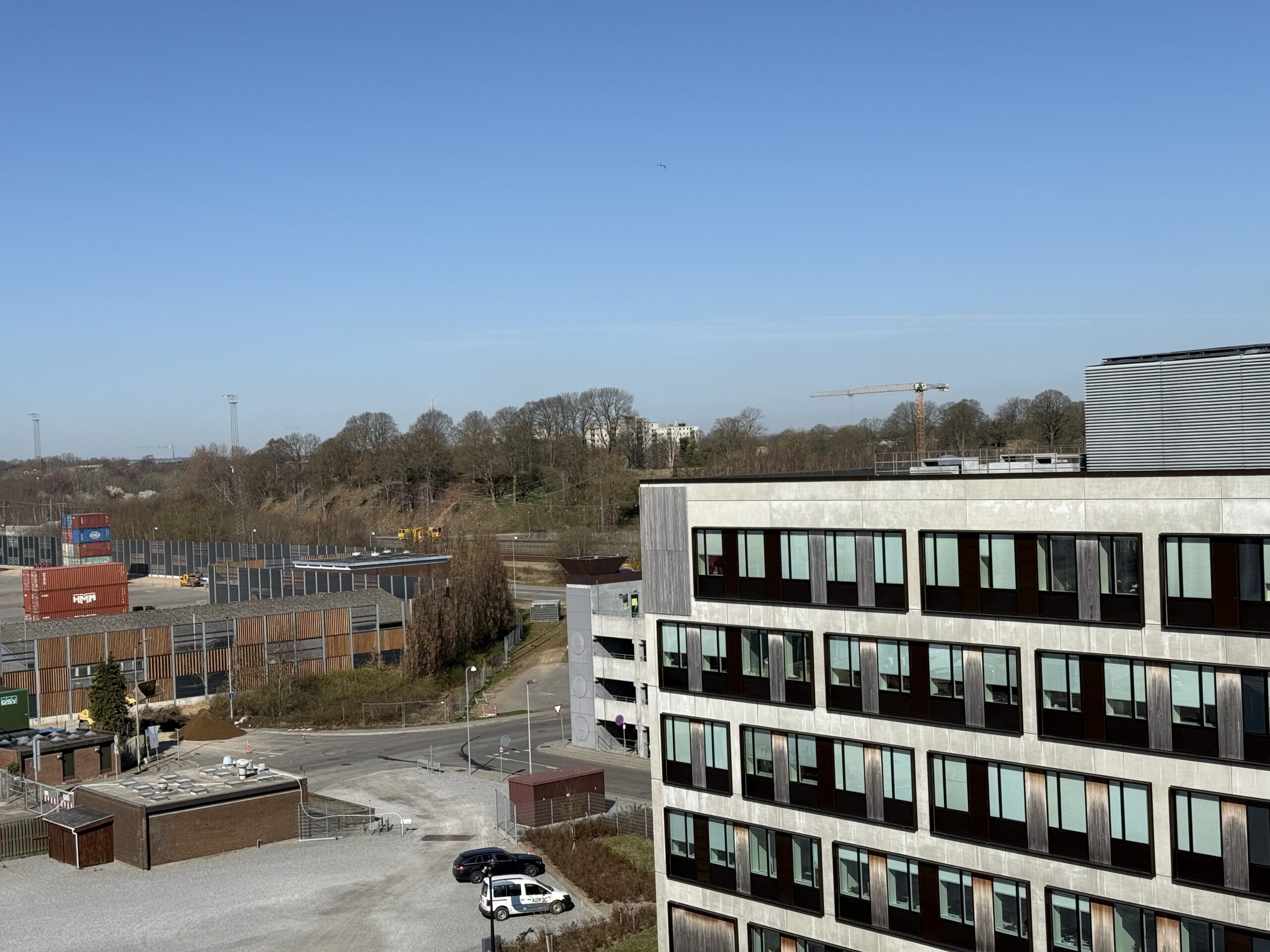 Erhvervsdirektør gør status: »Havnen bliver epicenter for vækst og grøn omstilling«