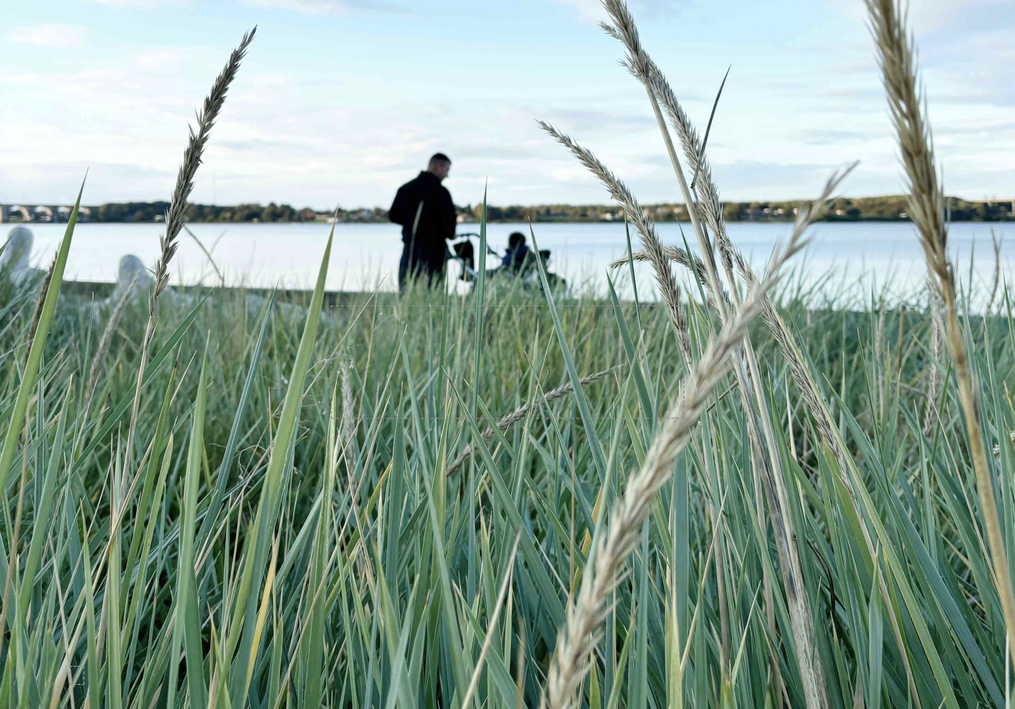Naturen som klasseværelse for elever i mistrivsel
