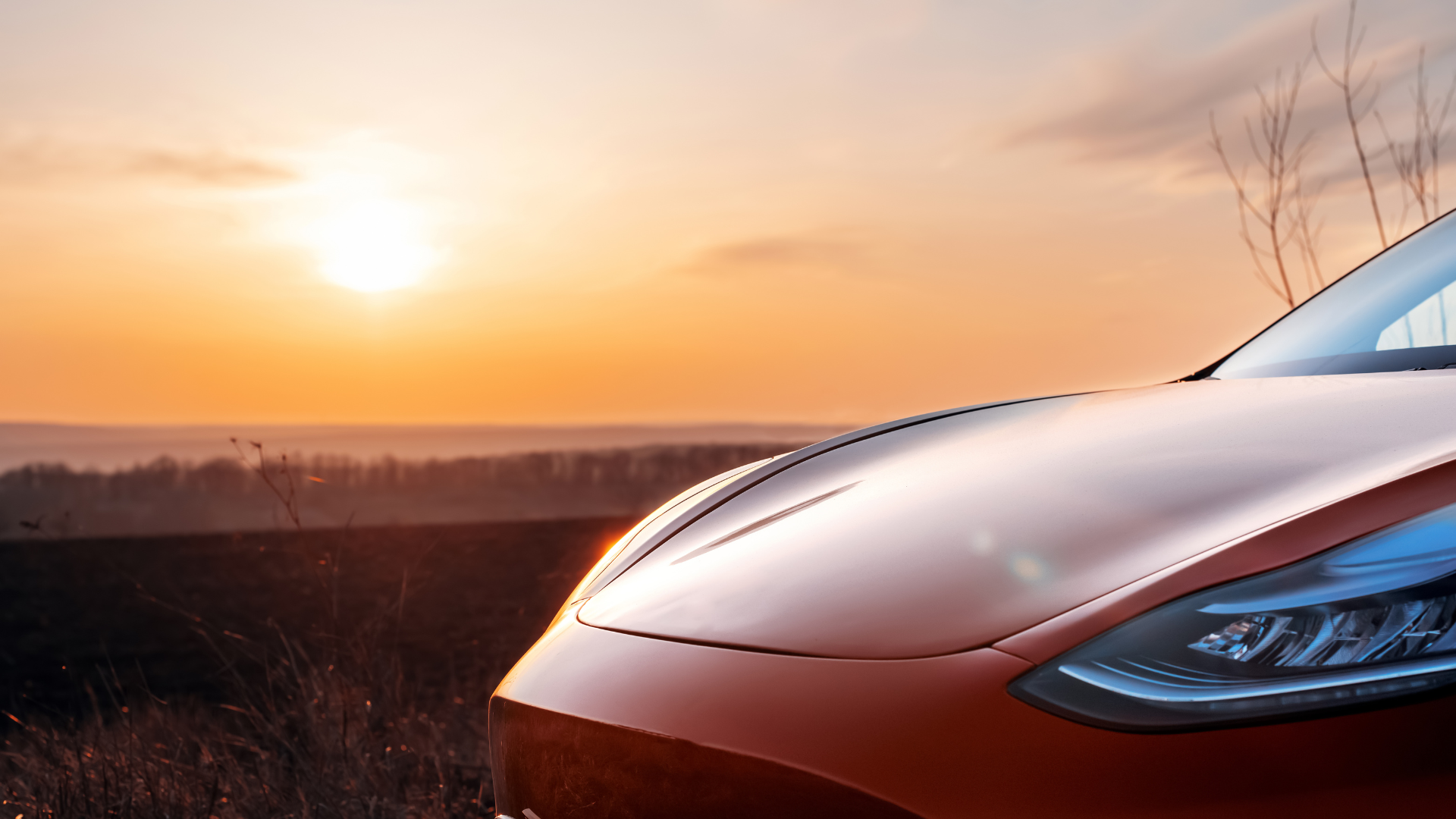 Tesla får bøde for vildledning om bilpriser og lån