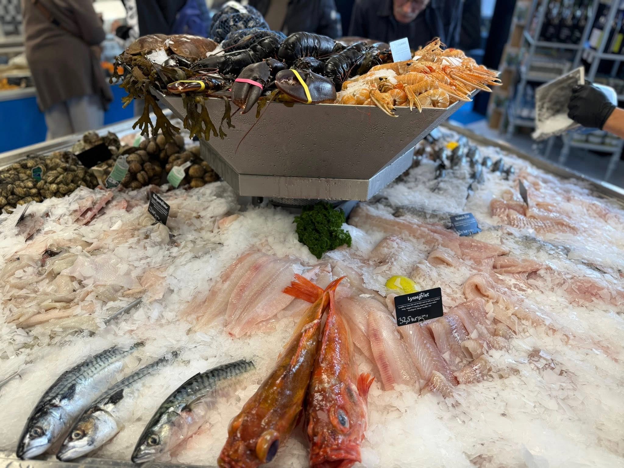 Møllers Fiskehus har åbnet i Odense: »Vi giver kunderne en oplevelse«