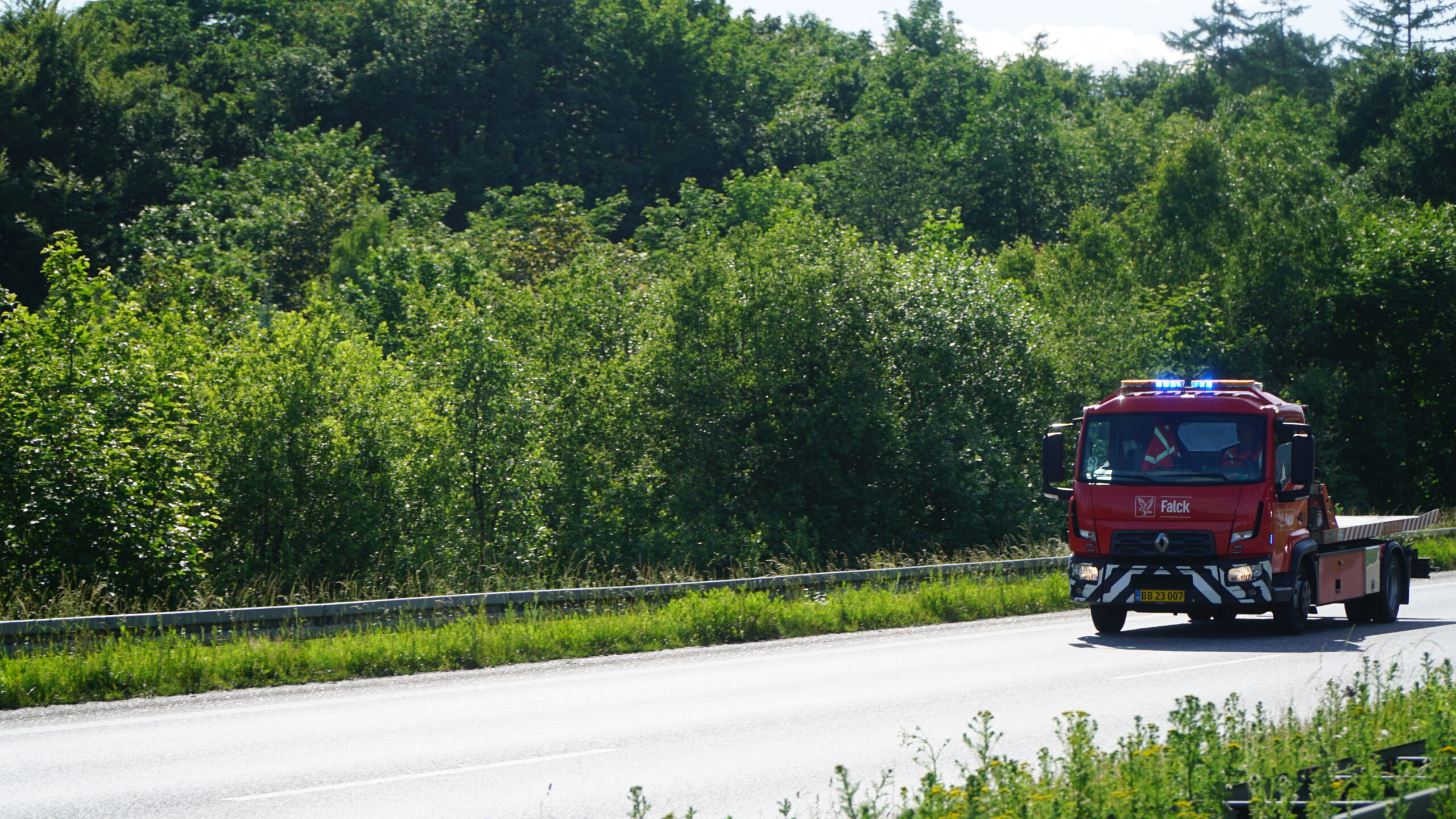 Tre biler og en lastbil ramt af væltet grantræ på motorvej