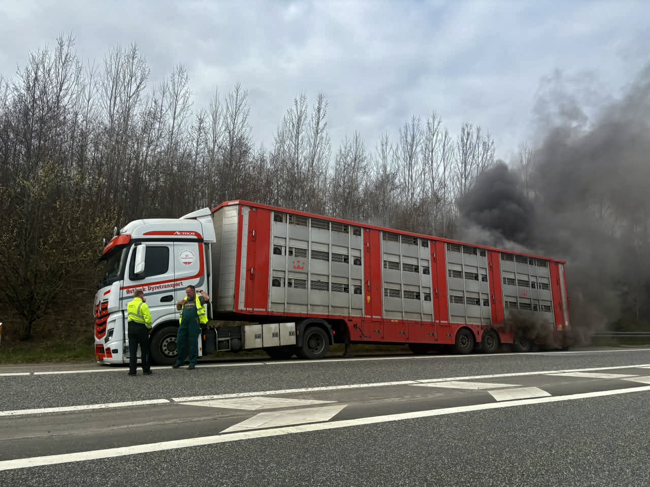 Brand i dyretransporter på motorvejen