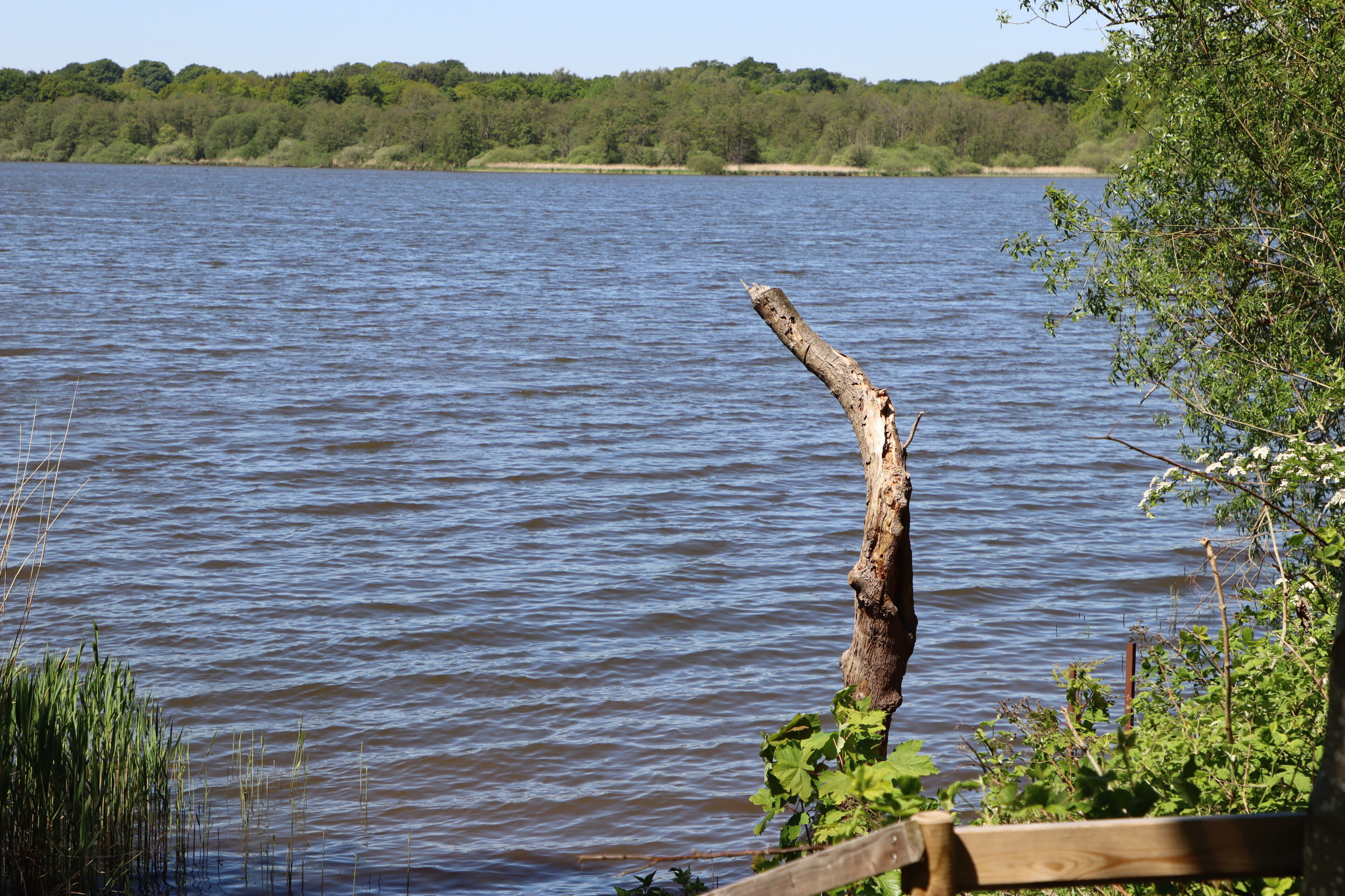 Fredericia indgår nyt fjord-samarbejde