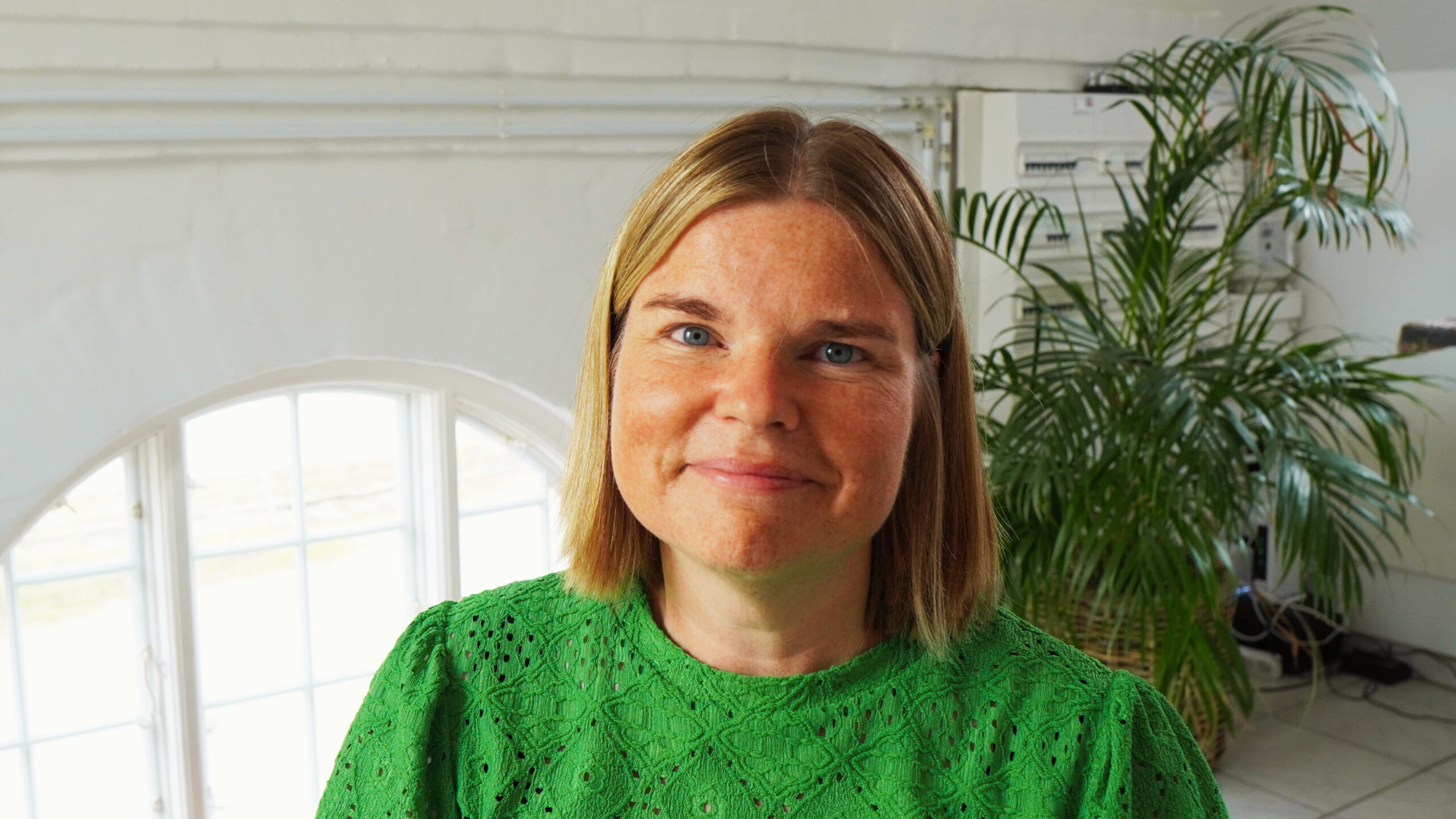 Om 1 år skal vi stemme igen